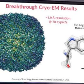 Breakthrough in electron counting cryo-EM results